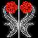 شرکت عالی نور